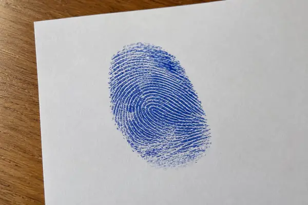 Phone photo of a blue ink thumb impression on paper